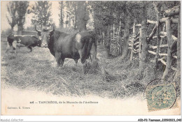 AIDP2-TAUREAUX-0094 - Tancrède De La Manade-de-l'audience  - Bull
