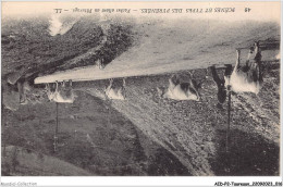 AIDP2-TAUREAUX-0082 - Scènes Et Types Des Pyrénées - Vaches Allant Au Pâturage  - Stieren