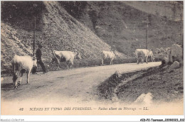 AIDP2-TAUREAUX-0080 - Scènes Et Types Des Pyrénées - Vaches Allant Au Pâturage  - Stieren