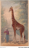 AIDP7-ANIMAUX-0628 - Girafe  - Giraffen