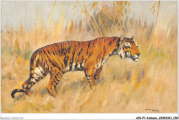 AIDP7-ANIMAUX-0611 - Un Tigre  - Tijgers