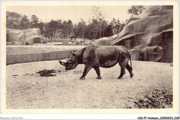 AIDP7-ANIMAUX-0599 - Paris - Jardin Zoologique De Vincennes - Rhinocéros  - Rhinozeros