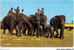 AIDP7-ANIMAUX-0596 - Showing As How élephants Are Caught And Traine Surin-province North-east-thailand - Elephants