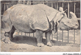 AIDP7-ANIMAUX-0584 - Rhinocéros De L'inde  - Rhinoceros