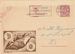 INTERO POSTALE 1948 BELGIO 65 C TIMBRO ANTWERPEN (XT3018 - Postcards 1909-1934