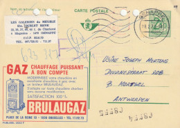 INTERO POSTALE 1973 BELGIO 2,50 F. -fori Archiviazione (XT2991 - Cartes Postales 1934-1951