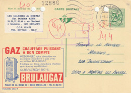 INTERO POSTALE 1973 BELGIO 2,50 F. -fori Archiviazione (XT2992 - Tarjetas 1934-1951