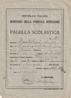 PAGELLA SCOLASTICA 1948-9 (XT2647 - Diplomi E Pagelle