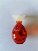 Miniature Parfum Cantate Yves Rocher Pour Femme 7,5 Ml - Mignon Di Profumo Donna (senza Box)