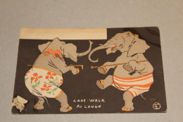 RARE CPA FANTAISIE - CONGO BELGE - CAKE WALK AU CONGO ( 1903 - DANSE DES ELEPHANTS ) - ILLUSTRATEUR A IDENTIFIER - Congo Belge