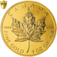 Monnaie, Canada, Elizabeth II, 50 Dollars, 1993, Royal Canadian Mint, Ottawa, 1 - Canada