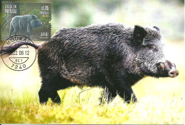 Carte Maximum - Portugal - Caça - Javali - Sus Scrofa - Sanglier - Wild Boar - Maximumkarten (MC)