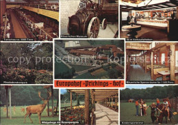 72480938 Sythen Europahof Prinkings Hof Tierschau Baeuerl Museum Verkaufstheke R - Haltern