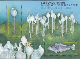 TAAF 2024 Bloc Feuillet Les Fonds Marins Neuf ** - Nuevos