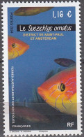 TAAF 2024 Poisson Le Suezichtys Amatus Neuf ** - Unused Stamps