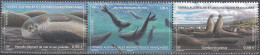 TAAF 2023 Eléphant De Mer Neuf ** - Unused Stamps
