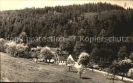 72471900 Eisenberg Thueringen Naupoldsmuehle Im Muehltal Baumbluete Eisenberg - Eisenberg