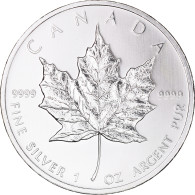 Monnaie, Canada, Elizabeth II, 5 Dollars, 2010, Royal Canadian Mint, Oz Silver - Canada