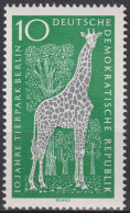 1965 DDR, ** Mi:DD 1093, Yt:DD 797, Angola-Giraffe, Tierpark Berlin - Giraffes