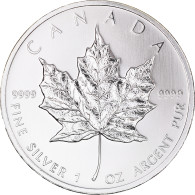 Monnaie, Canada, Elizabeth II, 5 Dollars, 2010, Royal Canadian Mint, Oz Silver - Canada