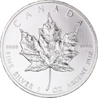 Monnaie, Canada, Elizabeth II, 5 Dollars, 2010, Royal Canadian Mint, Oz Silver - Canada