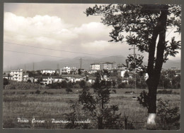 PASSO CORESE - FARA IN SABINA - RIETI - 1966 - PANORAMA PARZIALE - Rieti