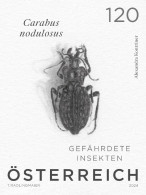 Austria 2024 - Beetle – Carabus Nodulosus Black Print Mnh** - Proofs & Reprints