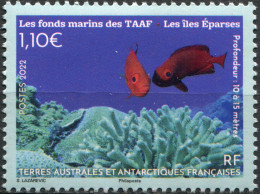 TAAF - 2022 - STAMP MNH ** - Endemic Marine Fauna - Unused Stamps