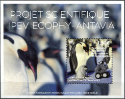 TAAF - 2022 - S/SHEET MNH ** - Robots At The Service Of Science, Adélie Land - Nuevos