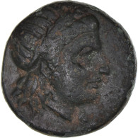 Monnaie, Troade, Bronze Æ, 302-1 BC, Alexandreia, TTB, Bronze - Greche