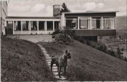 69560 - Reichshof-Wildbergerhütte - Fritz Schulte Heim - 1962 - Gummersbach