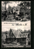 AK Melle I. H., Märchenwald, Froschkönig, Knusperhäuschen  - Melle