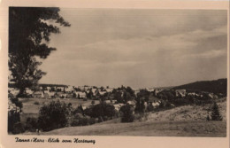 137468 - Tanne - Vom Hartenweg - Halberstadt