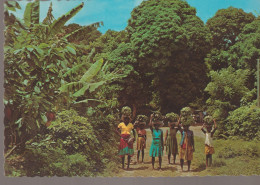 C. P. - PHOTO - THE TROPICAL CARIBBEAN - PORTEUSES DE BANANES - DT 965248 B - LARRY WITT - BANANAS ON THE WAY TO MARKET - Autres & Non Classés