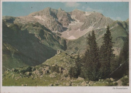 73892 - Österreich - Bregenzerwald - Braunarlspitze - Ca. 1960 - Bregenzerwaldorte