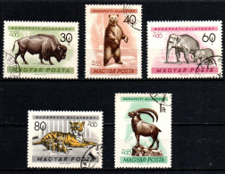 1961 - Ungheria 1414/18 Giardino Zoologico Di Budapest    ------ - Used Stamps
