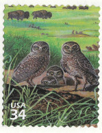 USA 2001 MiNr. 3451 Etats-Unis United States Great Plains Prairie #3 Birds Burrowing Owls 1v MNH**  0.90 € - Hiboux & Chouettes