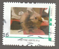 MONTIMBRAMOI LAPIN OBLITERE - Used Stamps