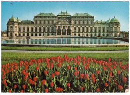 CARTOLINA VIENNA CASTELLO DI BELVEDERE PER ITALIA CON ANNULLO TARGHETTA - Belvedère