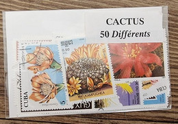 CACTUS, CACTEES Lot De 50 Timbres Tous Différents Neufs Et Oblitérés. - Cactusses