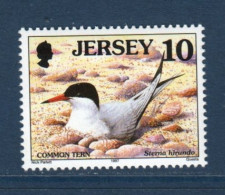 Jersey, **, Yv 760, Mi 766, SG 778, Sterne Pierregarin, - Mouettes