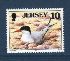 Jersey, **, Yv 760, Mi 766, SG 778, Sterne Pierregarin, - Seagulls