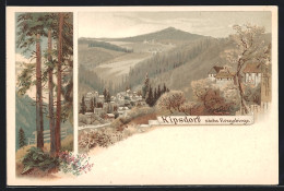 Lithographie Kipsdorf / Erz., Ortsansicht, Waldpartie  - Kipsdorf