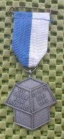 Medaille -   VVV Dalfsen , Avond Driedaagse , 23-24-25-6-1969. -  Original Foto  !!  Medallion  Dutch - Sonstige & Ohne Zuordnung