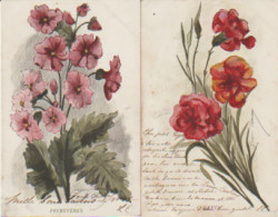 Lot 2 Cpa Fleurs. Illustr. Jeanne AMEN 1/ Primevères 2/ Oeillets - Sonstige & Ohne Zuordnung