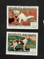 MADAGASCAR 1974 - NEUF**/MNH - Série Complète Mi 726 / 727 - YT 547 / 548 - CHIENS DOGS - Madagascar (1960-...)