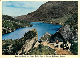 Irlande - Kerry - Killarney - Turnpike Rock And Auger Lake, Gap Of Dunloe - Chevaux - Carte Neuve - Ireland - CPM - Voir - Kerry