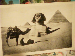 EGYPT  EGITTO SPHINX SFINGE   VB1967 JU5121 - Sphinx