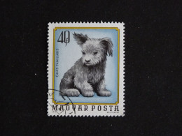 HONGRIE HUNGARY MAGYAR YT 2404 OBLITERE - JEUNES ANIMAUX DOMESTIQUES / CHIOT CHIEN DOG HUND - Gebruikt