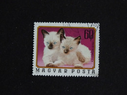 HONGRIE HUNGARY MAGYAR YT 2405 OBLITERE - JEUNES ANIMAUX DOMESTIQUES / CHATON CHAT CAT KATZ - Gebruikt